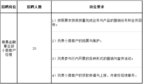 招聘岗位及要求