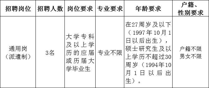 招聘计划